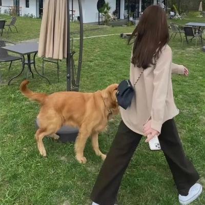 烈日狂风