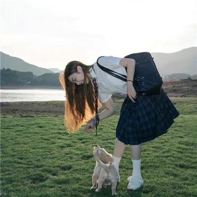八犬传：东方八犬异闻